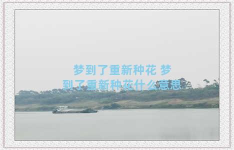 梦到了重新种花 梦到了重新种花什么意思